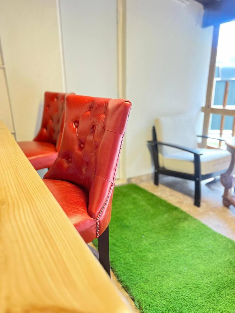 Work, Rest And Play: Wifi, Tv And Backyard Bliss Διαμέρισμα North Miami Beach Εξωτερικό φωτογραφία