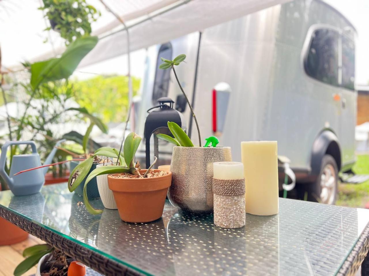 Work, Rest And Play: Wifi, Tv And Backyard Bliss Διαμέρισμα North Miami Beach Εξωτερικό φωτογραφία